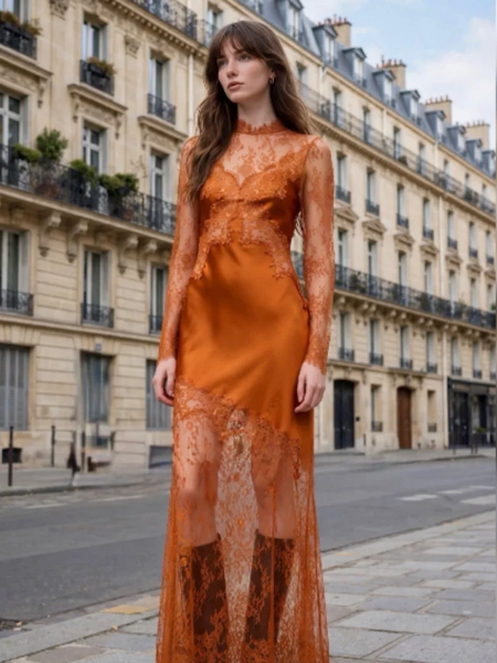 Elegant Solid Sheer Lace Slim Fit Maxi Dress Chic Mock Neck Long Sleeve Gown Women Formal Evening Party Holiday Wear