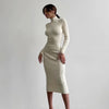 Autumn Knitted Turtleneck Dress Women Long Sleeve Bodycon Midi Dresses Female Elegant Solid Color Skinny Dress