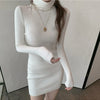 Autumn Winter Sweater Dresses Female Long Sleeve Skinny Elastic Casual Turtleneck Kintted Dress Women Sexy Mini Dresses