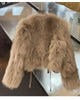 autumn and winter fur coat women's short style imitation fox fur Korean version versatile lace up thick top