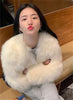 Autumn Winter Ladies Short Faux Fur Coat Korean Female Casual Plush Jacket Women Long Sleeves Fur Outwear