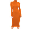 Winter Black Turtleneck Sexy Women Dress Autumn Long Sleeve Skinny Midi Boydcon Casual Blue Plush Knee-Length Party