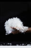 Winter Warm Duck Down Jacket Women's Clothes Glossy Fur collar Thicken Parka Short Down Coat Female