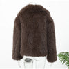 Solid Brown Fluffy Fur Jacket Women's Casual Lapel Loose Long Sleeves Thicken Warm Short Coat Winter Lady Commute Wear