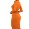 Winter Black Turtleneck Sexy Women Dress Autumn Long Sleeve Skinny Midi Boydcon Casual Blue Plush Knee-Length Party