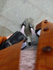 Brown Crocodile Embossed Faux Leather Trench Coat Lapel Single Breasted Straight Front Pockets Autumn Winter Fit Jacket