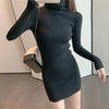 Autumn Winter Sweater Dresses Female Long Sleeve Skinny Elastic Casual Turtleneck Kintted Dress Women Sexy Mini Dresses
