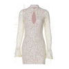 Lace Hollow Out Long Sleeve Sexy Mini Dress For Women Half High Collar Bodycon Club Party Dress Elegant Dresses