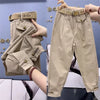 High-quality High Waist Solid Color Cotton Pants Women Autumn Loose Casual All-Match Harem Pants Trousers Ladies