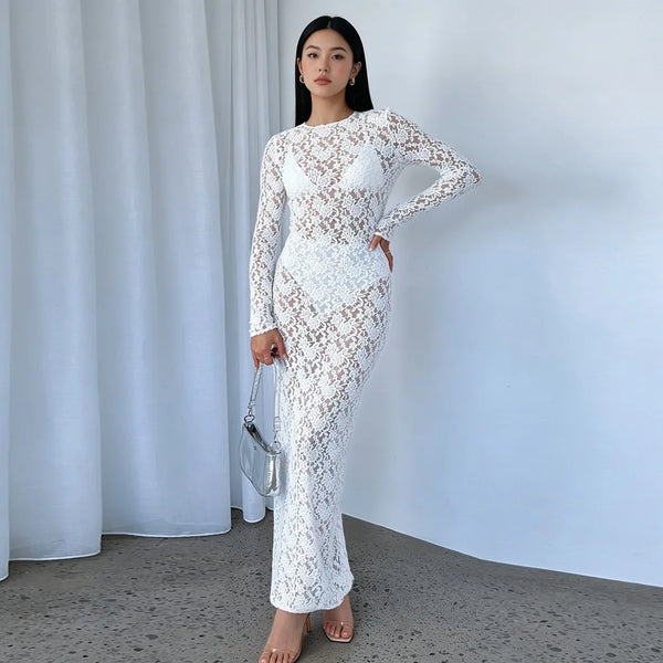 Lace Sheer Maxi Dress, Long-Sleeve Fitted Sexy Pattern Women's Dress, Vintage Birthday Party Evening Long Dresses