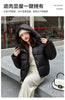 Winter Women Thicke Cotton Coat Loose Hooded Puffer Jacket Cropped Down Cotton Padded Coat Female Parkas Outwear