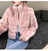 Women's Fur Integrated Jacket Autumn Winter Short Imitation Mink Fur Coat Versatile Velvet Tops Female Outerwear Clothes