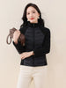 Women's Short Lightweight Down Cotton Coat Autumn Winter Stand-up Collar Zipper Puffer Parkas Jacket Casual Windproof