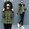Women's Winter Parka Coat Korean Version Loose Lady Cotton Padded Outerwear Temperament Casual Ladies Down Cotton Jacket