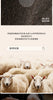 Double-sided Wool Coat Autumn Winter Women's Suit Collar Cocoon-neck Raglan Sleeves Small Lloose Versatile Pure Woolen Coat