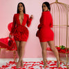 Women Rose Floral Applique Long Sleeve Bodycon Mini Midi Dress Winter V-neck Club Sexy Party Evening Dresses Vestidos