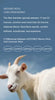 Women Wool Dress Sweater 100% Merino Wool Knitted Self-belt Long Skirt Autumn Winter Round Neck Pullover Cashmere Straight Skirt