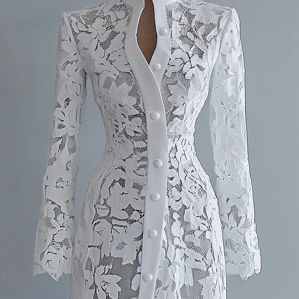 Women's Lace Dress for Women Fall Stand Collar Single Breasted Long Sleeve Coat Midi Dress See Through Elegant Sweet Dresses