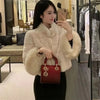 Korean Women Fur Thickening Outwear Advanced Female Faux Fur Coat Coat Autumn Winter Ladies Long Sleeves Plush Jacket