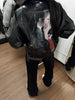 Harajuku PU Women Jackets Autumn Winter Clothes Print Vintage Outwear Streetwear BF Casual Y2k Tops Korean Leather Coats
