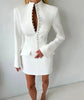 Long Sleeve Single-breasted Sexy Mini Blazer Dress Women Turtleneck Two Pocket Club Party Blazers Dress Office Lady
