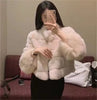 Korean Women Fur Thickening Outwear Advanced Female Faux Fur Coat Coat Autumn Winter Ladies Long Sleeves Plush Jacket