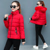 Women's Winter Parka Coat Korean Version Loose Lady Cotton Padded Outerwear Temperament Casual Ladies Down Cotton Jacket