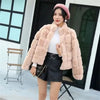 Women's Fur Integrated Jacket Autumn Winter Short Imitation Mink Fur Coat Versatile Velvet Tops Female Outerwear Clothes
