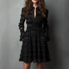 Sexy Sheer Mesh Fringe Trim Mini Dress Women Turn-Down Collar Party Dress Spring Autumn Long Sleeve Ruched A-Line Dress