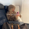 Exclusive Women Winter Hooded Faux Fur Coat Chic Street Girls Fluffy Fox Fur Jacket Thick Warm Shaggy Overcoat