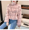 Women's Fur Integrated Jacket Autumn Winter Short Imitation Mink Fur Coat Versatile Velvet Tops Female Outerwear Clothes