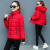 Women's Winter Parka Coat Korean Version Loose Lady Cotton Padded Outerwear Temperament Casual Ladies Down Cotton Jacket