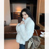 Women's Fur Integrated Jacket Autumn Winter Short Imitation Mink Fur Coat Versatile Velvet Tops Female Outerwear Clothes