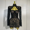 Sexy Black Lace High Neck Hollow Out Design Bodycon Mini Dress Women Long Sleeve Evening Party Club Bar Cocktail Celebrity Gowns