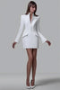 Long Sleeve Single-breasted Sexy Mini Blazer Dress Women Turtleneck Two Pocket Club Party Blazers Dress Office Lady