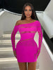 Women's Sexy Dress Hollow Out Nightclub Mesh Long Sleeve Dress