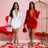 Women Rose Floral Applique Long Sleeve Bodycon Mini Midi Dress Winter V-neck Club Sexy Party Evening Dresses Vestidos