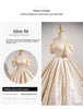Champagne French Engagement Toast Dress, Bride's Evening Gown, Women's One Shoulder Coming of Age Princess Dress