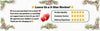 Women High Waist Skinny Jeans Patchwork Spliced Ribbon Decor Cargo Pocket Slim Denim Pants Autumn