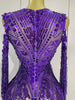 Sparkly Diamonds Sequin Tassels Sexy Mesh Short Dress Women Evening Party Celebrate Birthday Nightclub Show Photo Shoot Wear