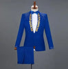 White Embroidered Diamond Suit Men Wedding Groom Tuxedo Suits Mens Stand Collar Prom Stage Costume Mens Suits with Pants Ternos