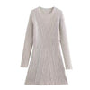 Women's Ribbed Knit Mini Dress, High Neck, Long Sleeves and Fitted Shape