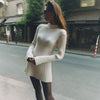 Women's Ribbed Knit Mini Dress, High Neck, Long Sleeves and Fitted Shape