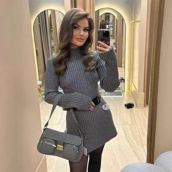 Women's Ribbed Knit Mini Dress, High Neck, Long Sleeves and Fitted Shape