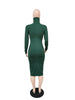 Women's Bodycon Dress, High Neck, Long Sleeves and Brushed Knit Fabric