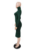 Women's Bodycon Dress, High Neck, Long Sleeves and Brushed Knit Fabric