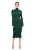 Women's Bodycon Dress, High Neck, Long Sleeves and Brushed Knit Fabric