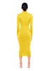 Women's Bodycon Dress, High Neck, Long Sleeves and Brushed Knit Fabric