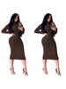 Women's Bodycon Dress, High Neck, Long Sleeves and Brushed Knit Fabric