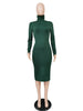 Women's Bodycon Dress, High Neck, Long Sleeves and Brushed Knit Fabric
